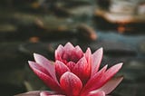 Om Mani Padme Hum