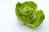 Head of Lettuce Contends to be Next UK Head of Government