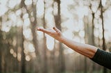 Comment booster son système immunitaire naturellement ?