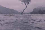Flood Flirt- A Poem