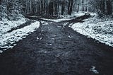 The Ghost-Shape of the Life You Didn’t Choose