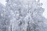 THE BIG CHILL has arrived