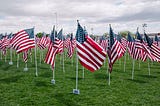 A large number of small American flags staked on a large green lawn.