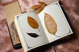 Should Your Writing Be Personal?