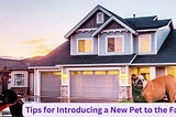 Tips for Introducing a New Pet to the Family