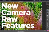 Lots of new features have been added to Camera RAW that aren’t in Lightroom