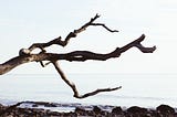 Stop Writing Multi-Branch Code with Nested if-else’s and Try This Instead
