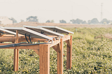 Growing Your Own Energy: How Agrivoltaics can Help Farmers Improve their Profit Margins