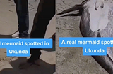 Video : Mermaid Found in Ukunda, Kenya viral on Tiktok.