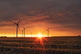 A windfarm in the middle of a field at sunset.