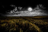 I Keep Talking to the Moon Even Though I Know It’s Just a Rock