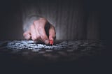 The Puzzle of Life