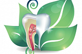 Why Choose Holistic Dentistry?