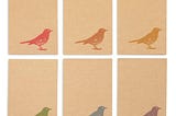 36-pack-all-occasions-assorted-blank-note-cards-greeting-cards-bulk-box-set-6-1