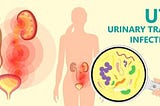 Get Rid of UTI Naturally: 10 Foods To Cure UTI Fast