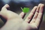 10 Ways to be More Sustainable in 2021
