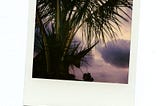 A polaroid picture of a tropical sunset