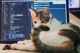 I Finally Shipped Something: My 30-Minute AI App Build