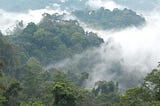 Seeing Borneo’s wildlife through the eyes of its citizen scientists