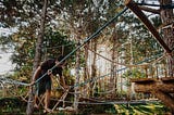 A man navigating a ropes course in a forest.