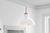 edmundson-1-light-single-dome-pendant-wade-logan-shade-color-white-1