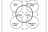 Palliative Care and Hospice Medicine are Complementary but Distinct — Integrative Alchemists