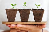 2 Reasons Why Medium Audience Continues to Grow Daily