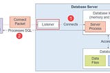 The Role of Listener In Establishing a Connection in Oracle Environment.