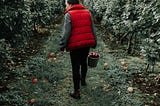 10 Ways To Break All Of The Cider House Rules and Endure Apple Picking This Fall