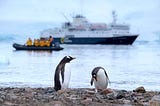 Each Antarctic Tourist Effectively Melts 83 Tonnes of Snow — new research