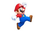 Super Mario Government Gateway Walk-through