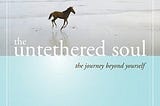 the-untethered-soul-1676346-1