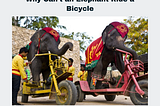 Why Can’t an Elephant Ride a Bicycle