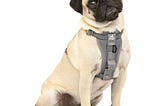 kurgo-tru-fit-enhanced-strength-dog-harness-crash-tested-car-safety-harness-for-dogs-no-pull-dog-har-1