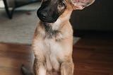 An Open Letter to Emily Post