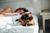 How I feel calmer and more in control of my body during a chronic pain flare (without painkillers)
