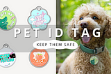 Pet Safety Must-Have: ID Tags Explained | PawrTalk