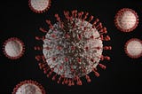 A Man Bitten by a Monkey has been Hospitalized for the B Virus
