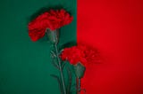 red carnations over the Portuguese flag red and green.