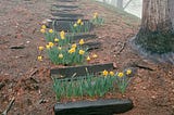 A picture of wooden stepping stones with flowers blooming in-between each step.
