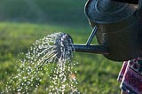 Water pours from a can over green grass