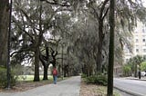 Top 5 Dog Friendly Things To Do In Savannah GA