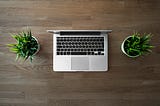 Laptop between two small plants