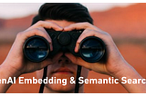 OpenAI Embedding & Semantic Search using Vector data