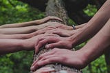 Pairs of hands, placed one by one, leading up a tree trunk.