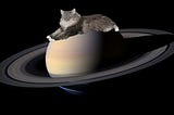 Saturn Is Not Your Boss — He’s the Guy Your Boss Hired to Ruin Your Life