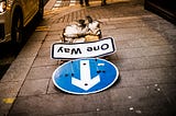 Blue one-way street sign fallen over onto concrete bricks, arrow pointing towards the camera.