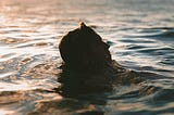 The Swimmer