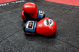 Fairtex Boxing Gloves-1