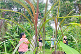 Playful Presence: Rounding off the year with placemaking and movement